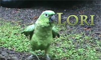 Manú Lori Video