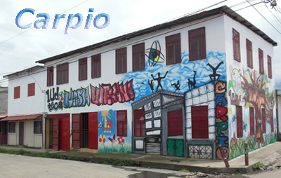 carpio arte