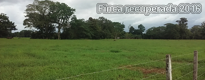 finca recuperada