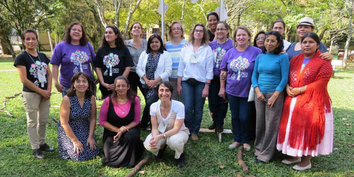 genero brasil 2015