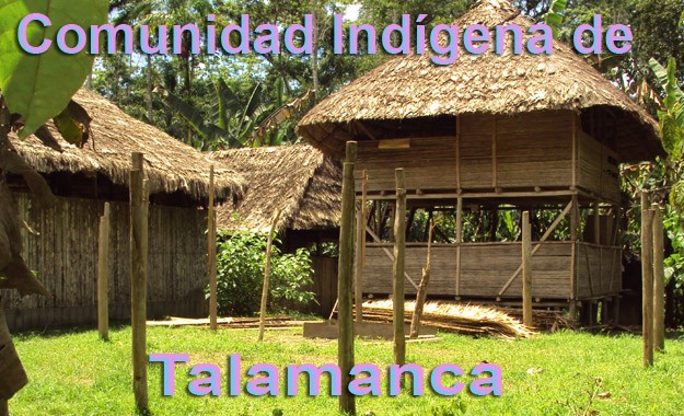 logo talamanca